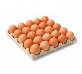 HUEVO 24UD – 24Und